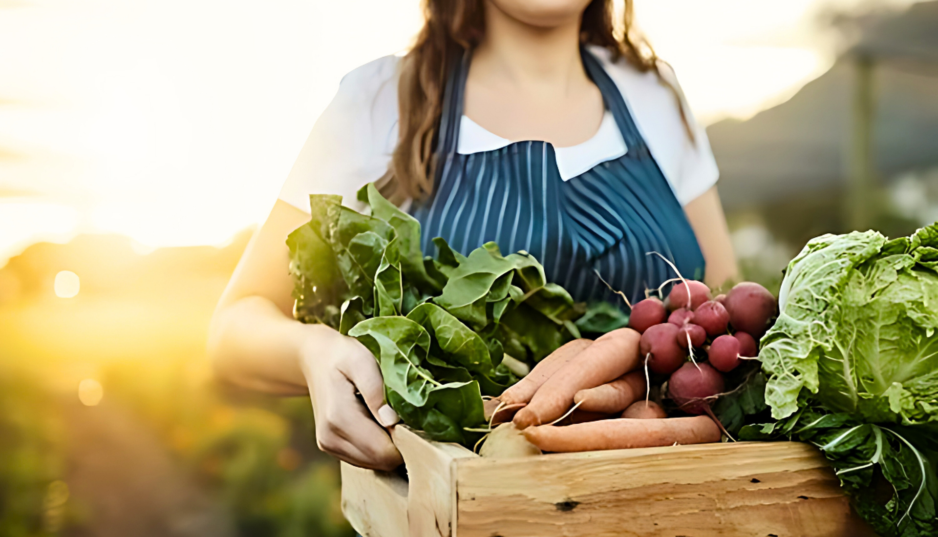 Organik Gıda Trendleri ve BTL Gıda'nın Rolü